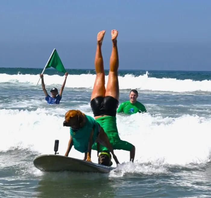 Annual Surf Dog Surf a Thon 6