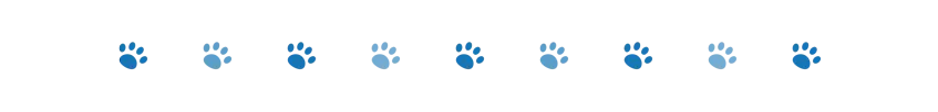 divider dog paws 2 oct 2024