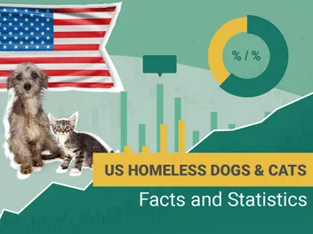 How Many Homeless Dogs & Cats Are There in the U.S.? 2026 Statistics & Facts