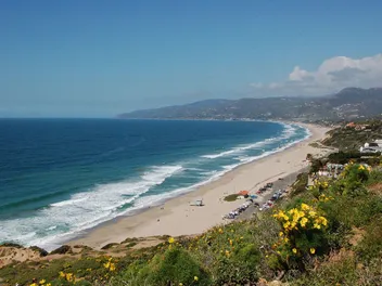 Is Zuma Beach Dog-Friendly? 2026 Guide & Safety Tips