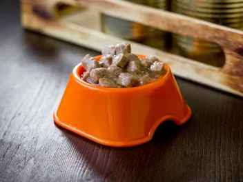 How Much Canned Food to Feed a Dog: Vet Approved Nutrition Advice