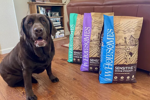 Wholesomes Dog Food Sensitive Skin & Stomach Review 2026: Our Expert’s Opinion