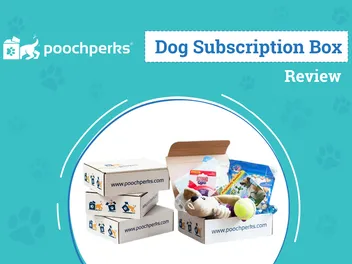 Pooch Perks Dog Food Subscription Review 2026: Our Expert’s Opinion