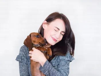 12 Reasons Why Your Dachshund Licks You So Much - (Explained By Science)