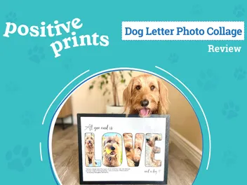 Positive Prints Letter Photo Collage Review 2026: Transform Your Four-Legged Friend into Art