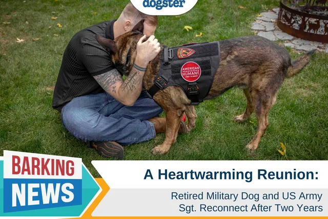 A Heartwarming Reunion: Retired Hero Military Dog and U.S. Army Sgt. Reconnect After Two Years