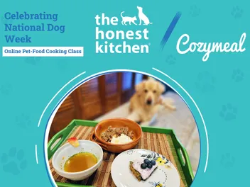 The Honest Kitchen & Cozymeal Partner Up For National Dog Week 2026: A Cooking Class Experience
