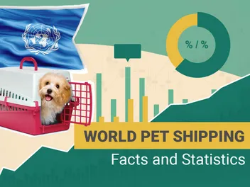 How Safe Is Shipping Your Pet by Air? 2026 Facts & Statistics