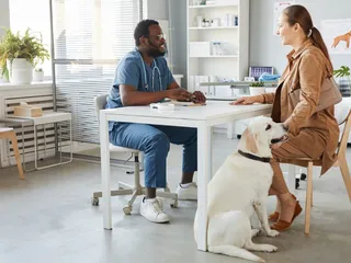 8 Common Liver Problems in Dogs: Our Vet Explains