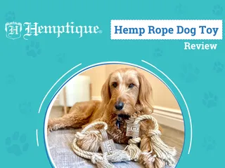 Hemptique Dog Toys Review 2026: A Sustainable Solution to Playtime with Your Pup