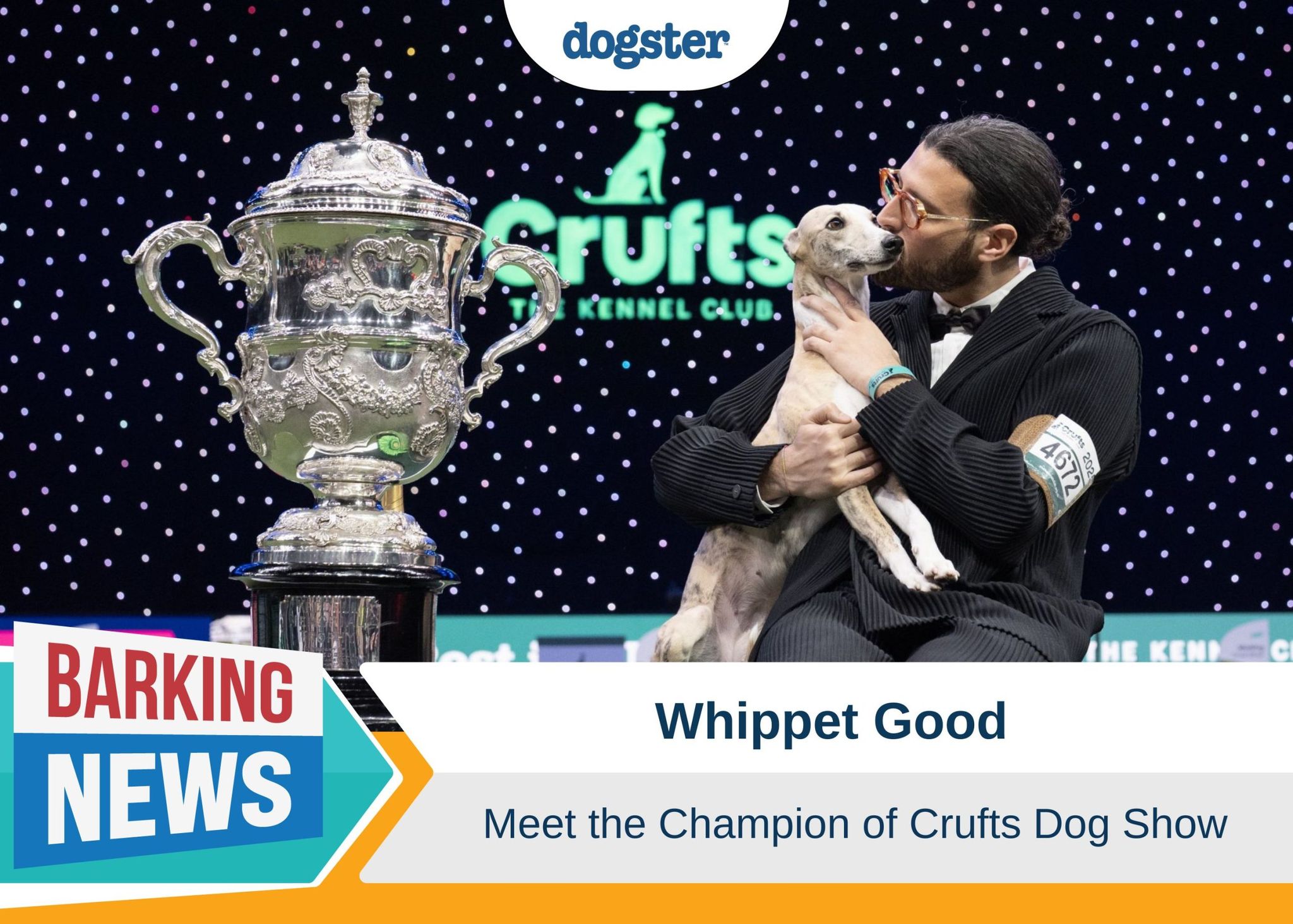 Whippet Good - Meet the Champion of Crufts Dog Show