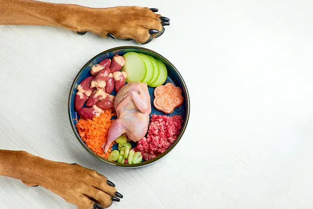 10 Essential Rules for Raw Dog Food: Vet-Verified Nutrition Considerations