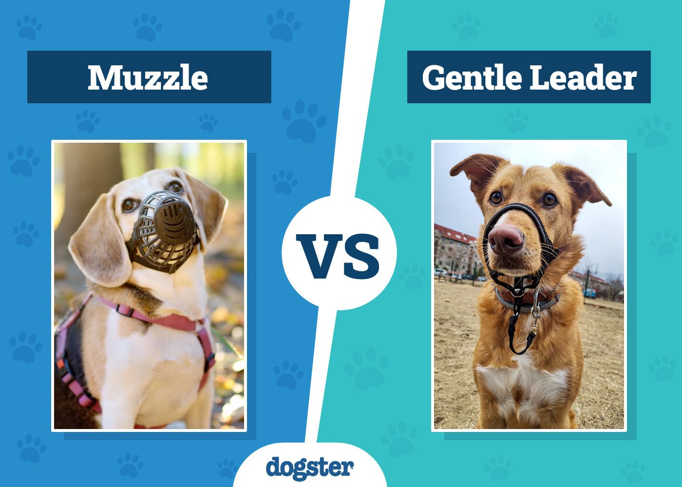 Dogster_Muzzle VS Gentle Leader
