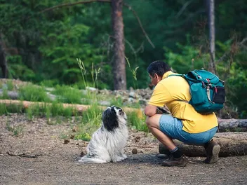 Why Does My Dog Hate Men? 5 Vet-Verified Reasons