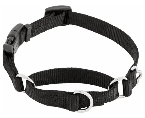 Frisco Martingale Dog Collar