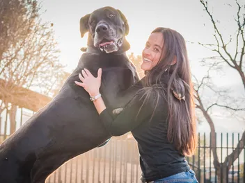 Who Are the Biggest Dogs in the World? 2026 World Records