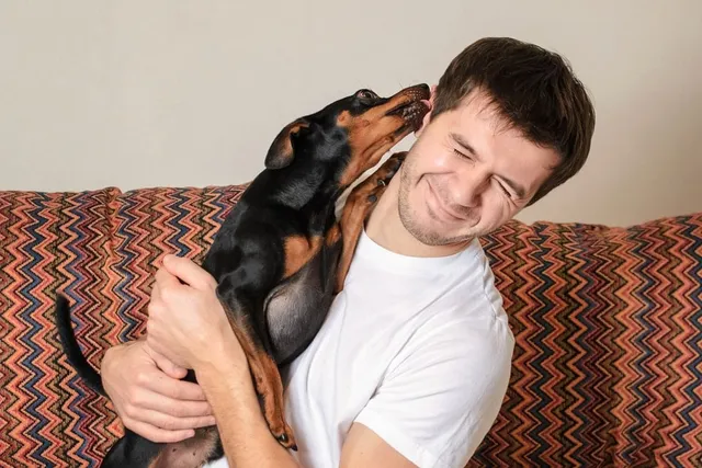 Why Does My Dog Try to Lick My Ears? 4 Likely Reasons
