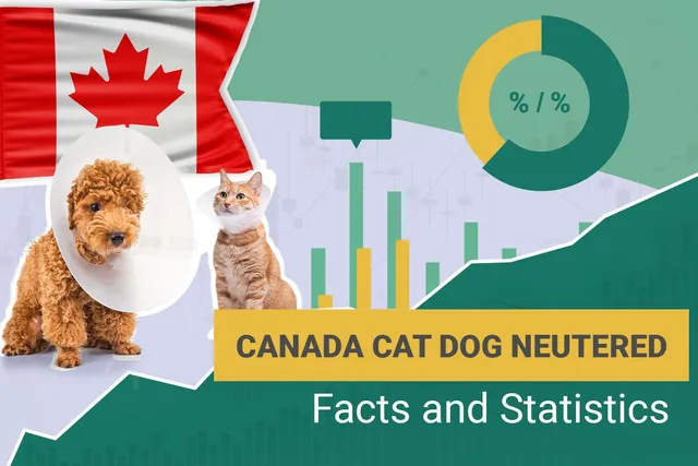 10 Surprising Canada Cat & Dog Neutering Statistics to Know in 2026