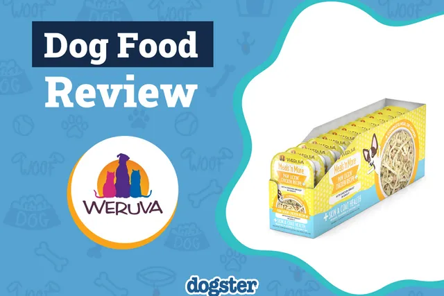 Weruva Dog Food Review 2026: Pros, Cons, Recalls, and Guide