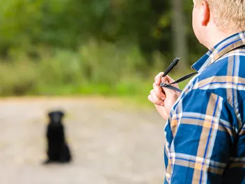 How to Use a Dog Whistle: 8 Vet-Approved Tips for Training & FAQ
