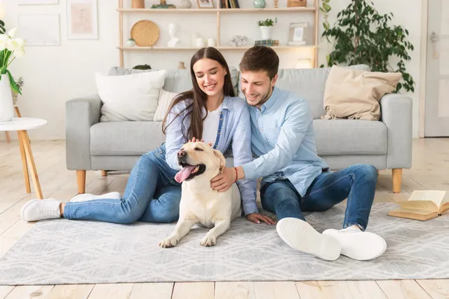 How to Remove Dog Odor From Your House: 15 Vet-Approved Tips