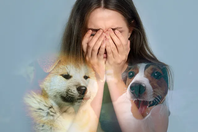 Cynophobia: Why Are Some People Afraid of Dogs? Vet-Reviewed Facts