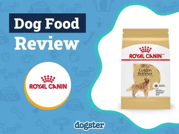 Royal Canin Dog Food Review 2026 – Pros, Cons, Recalls & FAQ