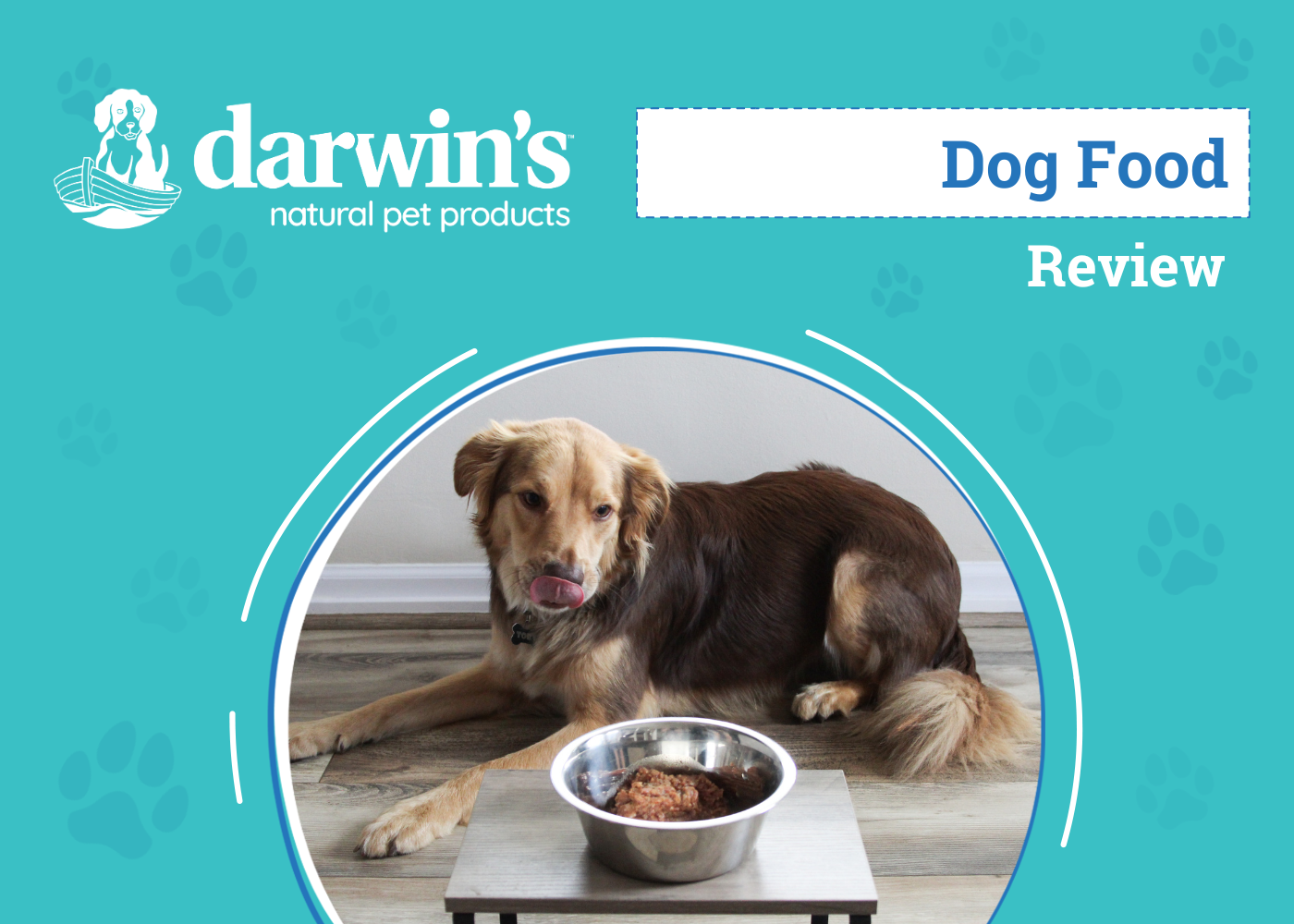 Darwin’s Natural Selections Dog Food