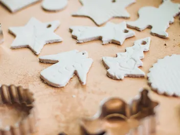 My Dog Ate a Salt Dough Ornament, What Should I Do? (Vet Answer)