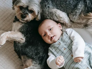 Introducing Babies & Dogs: 20 Important Tips