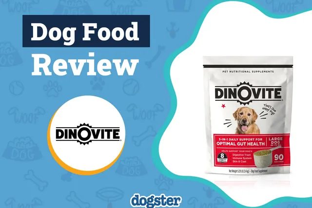 Dinovite Dog Food Review 2026: Recalls, Pros & Cons