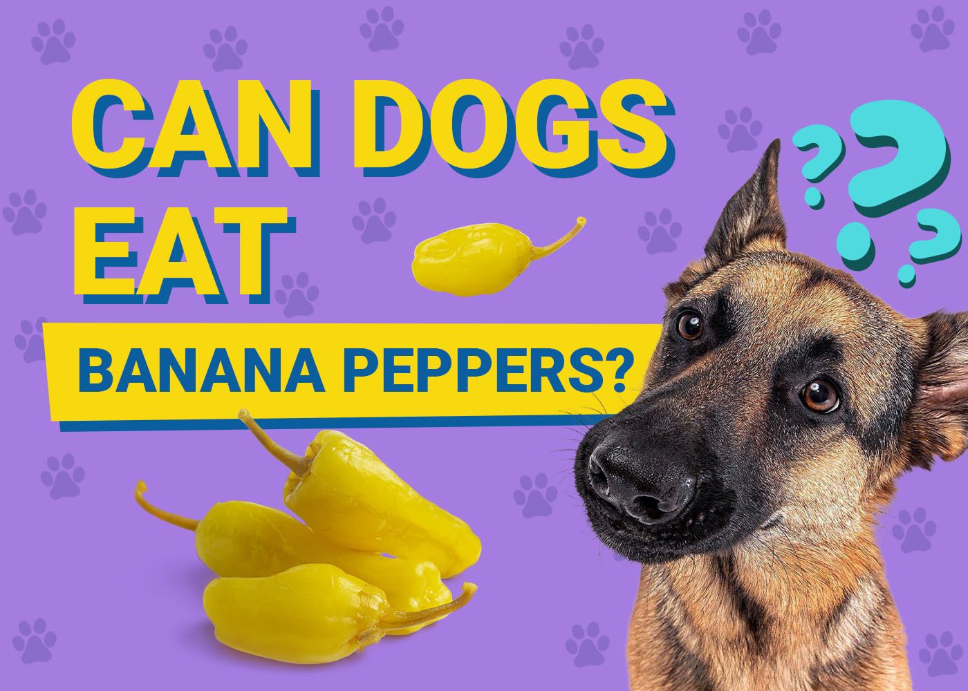 Can Dogs Eat Banana Peppers