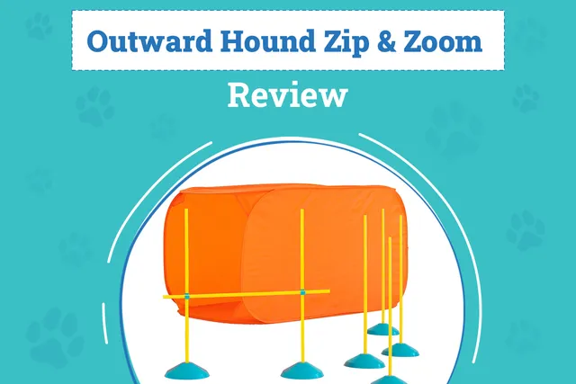 Outward Hound Zip & Zoom Indoor Agility Kit Review (2026): Pros, Cons & Verdict