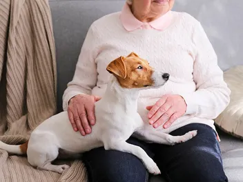 What Do Emotional Support Dogs Do? Facts & FAQ