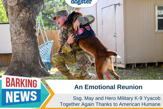 An Emotional Reunion of Ssg. May and Hero Military K-9 Yyacob Thanks to American Humane