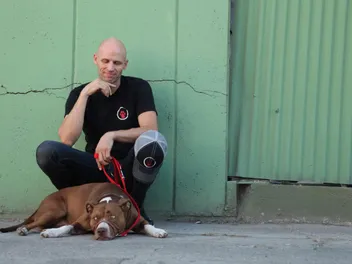 Interview with Matt Beisner, the Dog Behavior Specialist from Dog: Impossible