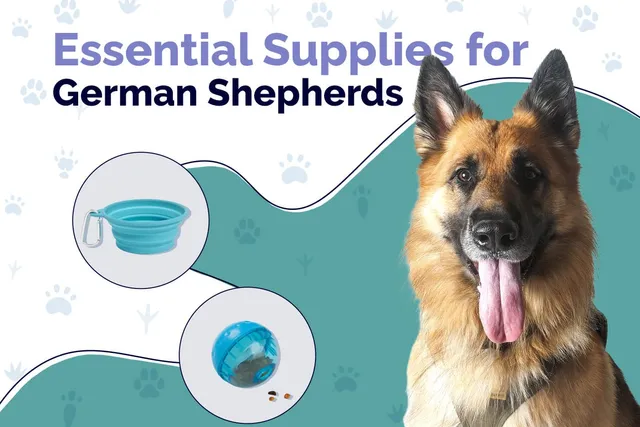 25 Essential German Shepherd Supplies to Get You Started: 2026 Update