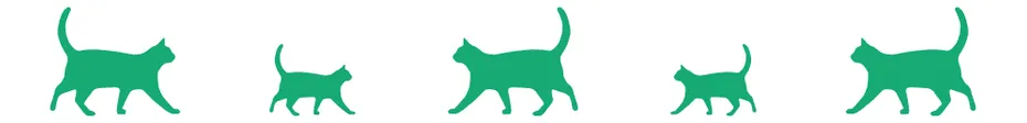 divider-cat