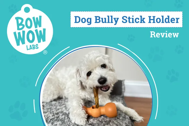 Bow Wow Labs Bow Wow Buddy Review 2026: An Expert's Breakdown
