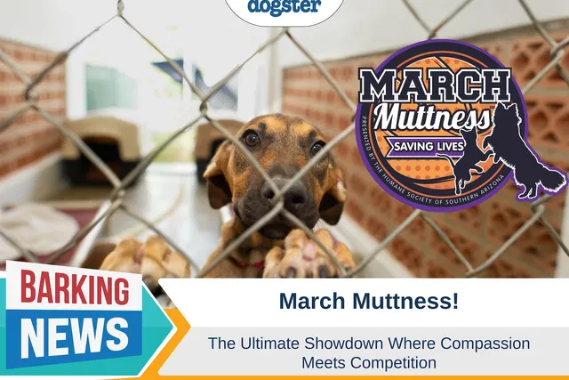 March Muttness - The Ultimate Showdown Where Compassion Meets Competition