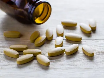 Can Dogs Take Human Vitamins? Vet-Approved Facts & FAQs