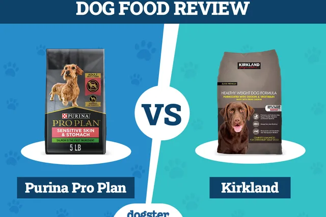 Purina Pro Plan vs. Kirkland Dog Food: Pros, Cons & What to Choose