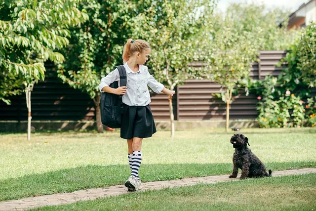 How to Prepare Dogs for Back-to-School Season: 5 Vet Approved Tips & FAQ