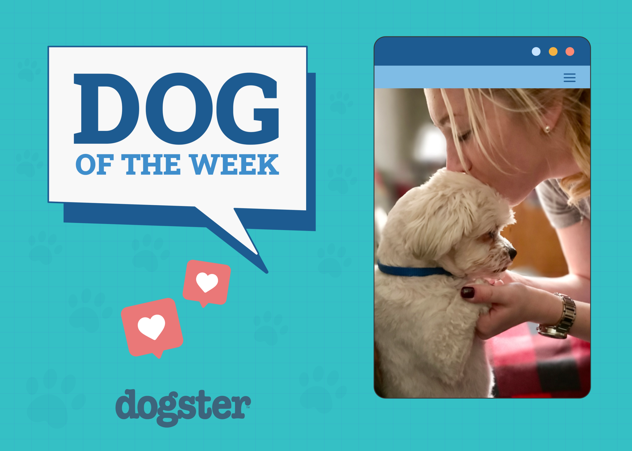Dogster Photo Contest: Dogs of the Week Winners (February 5, 2026)