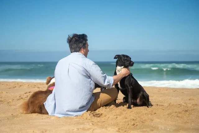 10 Dog-Friendly Beaches in Maryland to Visit in 2026
