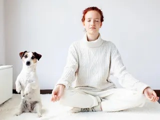 Do Dogs Have Chakras? Interesting Facts & FAQ
