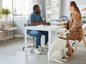 Are There Dog Condoms? Vet-Verified Facts & FAQ