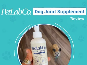 PetLab Co. Mobility Pro Oil Review 2026: An Expert’s Breakdown