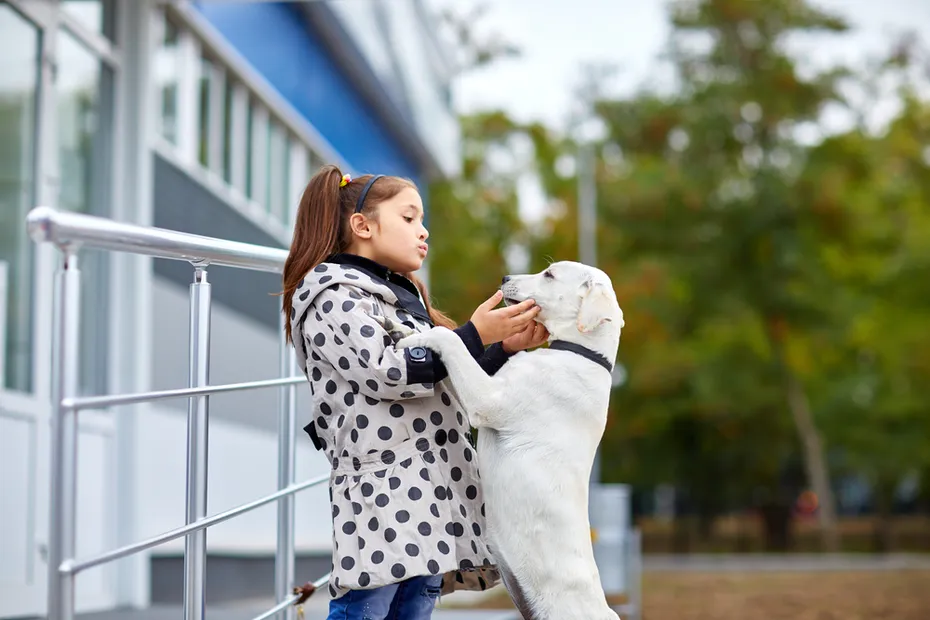 Cute dog playing with young girl