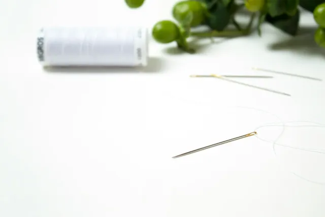 My Dog Swallowed a Sewing Needle: What to Do Now?